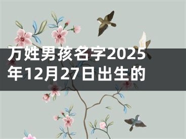 万姓男孩名字2025年12月27日出生的