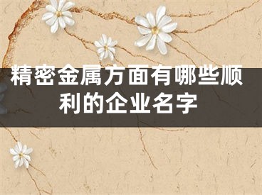 精密金属方面有哪些顺利的企业名字