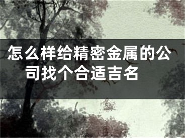 怎么样给精密金属的公司找个合适吉名 