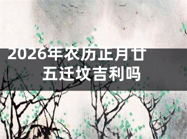 2026年农历正月廿五迁坟吉利吗