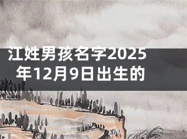江姓男孩名字2025年12月9日出生的