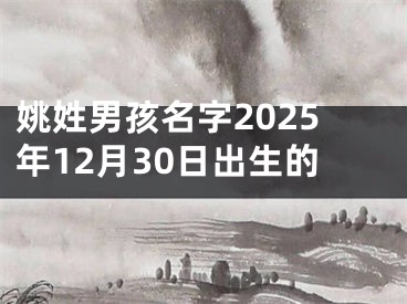 姚姓男孩名字2025年12月30日出生的