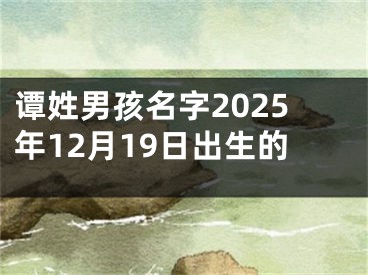 谭姓男孩名字2025年12月19日出生的