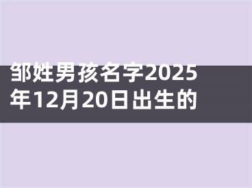 邹姓男孩名字2025年12月20日出生的