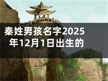 秦姓男孩名字2025年12月1日出生的