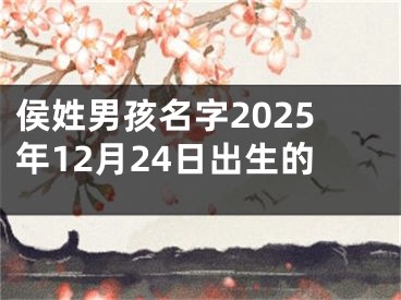 侯姓男孩名字2025年12月24日出生的