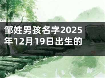 邹姓男孩名字2025年12月19日出生的