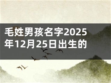毛姓男孩名字2025年12月25日出生的
