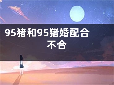 95猪和95猪婚配合不合