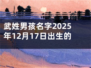 武姓男孩名字2025年12月17日出生的