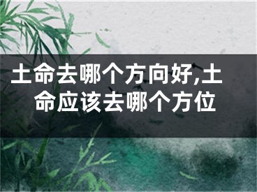 土命去哪个方向好,土命应该去哪个方位