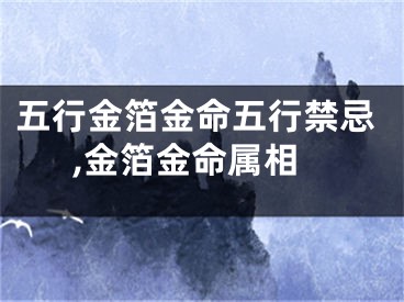 五行金箔金命五行禁忌,金箔金命属相