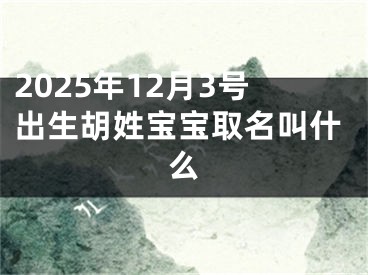 2025年12月3号出生胡姓宝宝取名叫什么