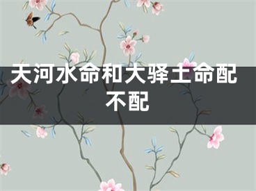 天河水命和大驿土命配不配