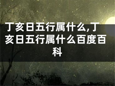 丁亥日五行属什么,丁亥日五行属什么百度百科