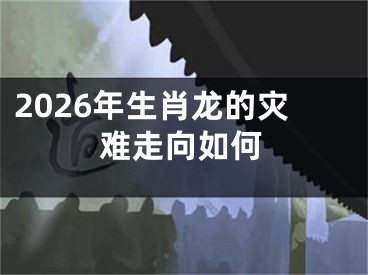 2026年生肖龙的灾难走向如何