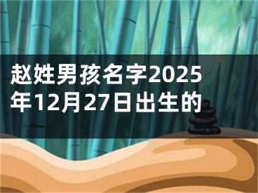 赵姓男孩名字2025年12月27日出生的