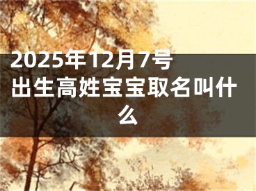 2025年12月7号出生高姓宝宝取名叫什么