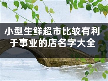 小型生鲜超市比较有利于事业的店名字大全