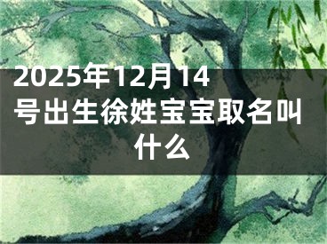 2025年12月14号出生徐姓宝宝取名叫什么
