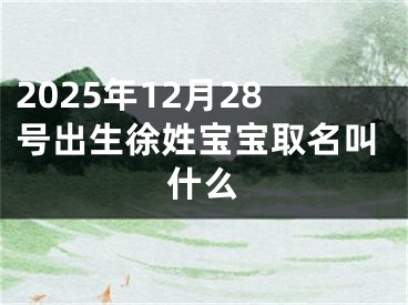 2025年12月28号出生徐姓宝宝取名叫什么