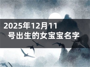 2025年12月11号出生的女宝宝名字
