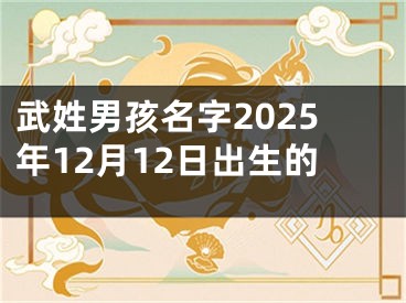 武姓男孩名字2025年12月12日出生的
