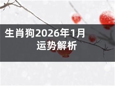 生肖狗2026年1月运势解析