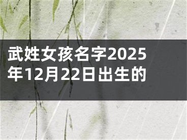 武姓女孩名字2025年12月22日出生的