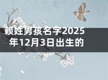 赖姓男孩名字2025年12月3日出生的