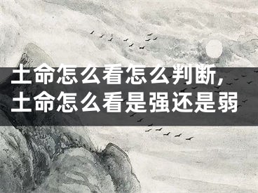 土命怎么看怎么判断,土命怎么看是强还是弱