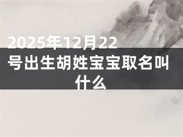 2025年12月22号出生胡姓宝宝取名叫什么