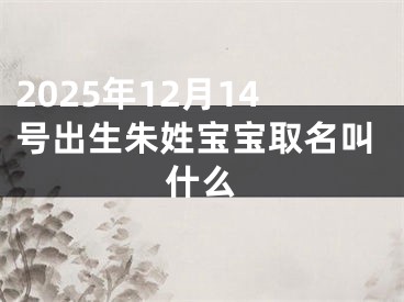 2025年12月14号出生朱姓宝宝取名叫什么