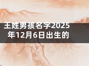 王姓男孩名字2025年12月6日出生的