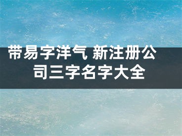 带易字洋气 新注册公司三字名字大全