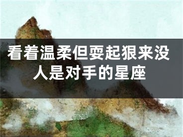 看着温柔但耍起狠来没人是对手的星座