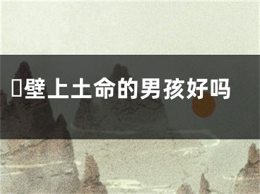 ​壁上土命的男孩好吗