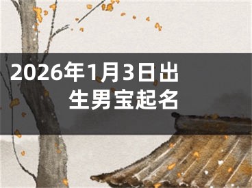 2026年1月3日出生男宝起名