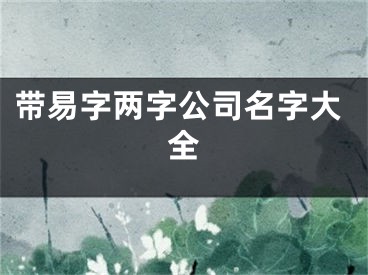 带易字两字公司名字大全