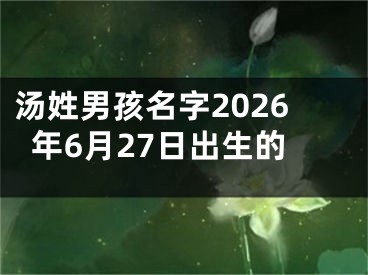 汤姓男孩名字2026年6月27日出生的