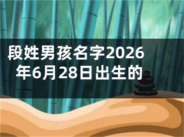 段姓男孩名字2026年6月28日出生的