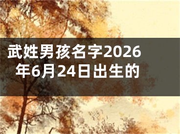 武姓男孩名字2026年6月24日出生的