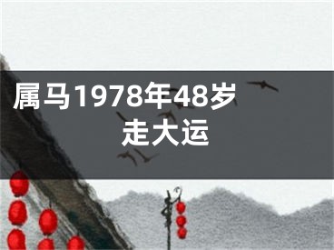 属马1978年48岁走大运
