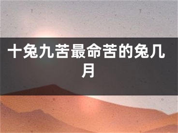 十兔九苦最命苦的兔几月