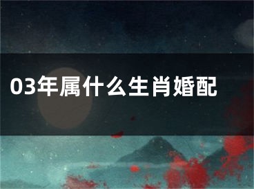03年属什么生肖婚配