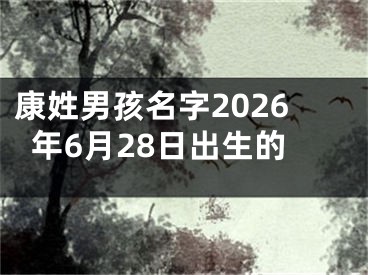 康姓男孩名字2026年6月28日出生的