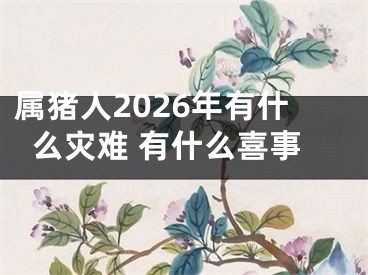 属猪人2026年有什么灾难 有什么喜事