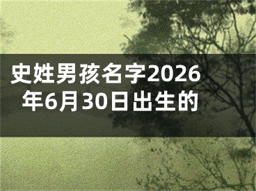 史姓男孩名字2026年6月30日出生的