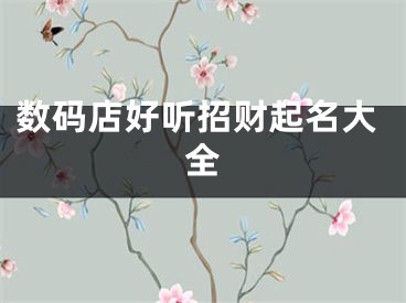 数码店好听招财起名大全