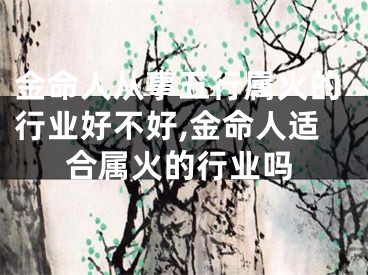 金命人从事五行属火的行业好不好,金命人适合属火的行业吗